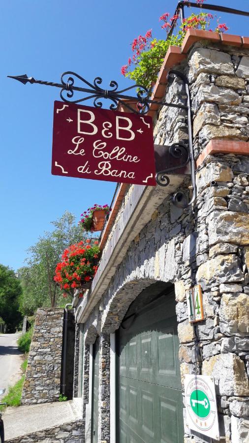 Bed & Breakfast Le Colline Di Bana